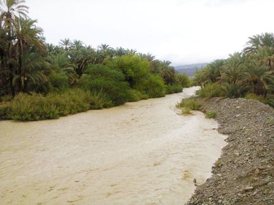 Rain water
شاپک دشتاری کور
Shapuk dishtari kohr
