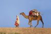Filename=Shepherd_Woman_Balochistan.jpg
Filesize=153KiB
Dimensions=1100x749
Date added=Jul 27, 2025 Shepherd_Woman_Balochistan.jpg