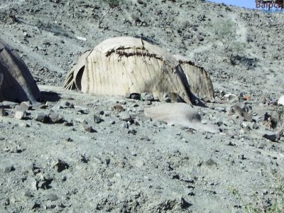BALOCHI TENT
Gedaan Ya Gedaam
گدان یا گدام
وھدے ذمانگ ء بلوچستان ء جہمنندیں مردم گیشتر مالدار بوتگ انت - مال 
چارینیے ھاترا پٹ و میداناں بیابان و کوہاں گدان منڈینتگ انت - مرچی ہم بلوچ گون وتی کوھنیں دروشم و دود و ربیدگاں وتی گدانانی تہا آباد انت - بلے مرچی بلوچ وتی مستر وت نہ انت - ھم ء سوب انت کہ ایشانی سرا باز برا اْرش بوتگ انت گدان مانداشتگ انت دلوت پچ گرگ بوتگ انت پرچا کہ واجہ کار ایشاں سرمچار لیکت


