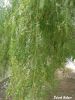 20140727_084823.jpg